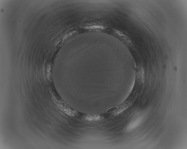 X0000081390767200702020255