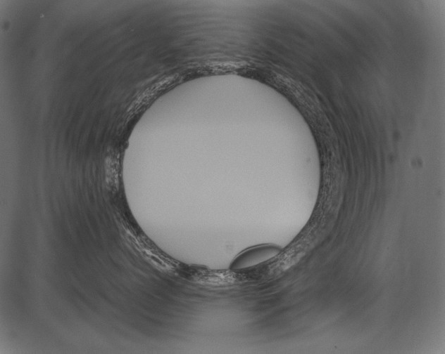 X0000081390768200702020255