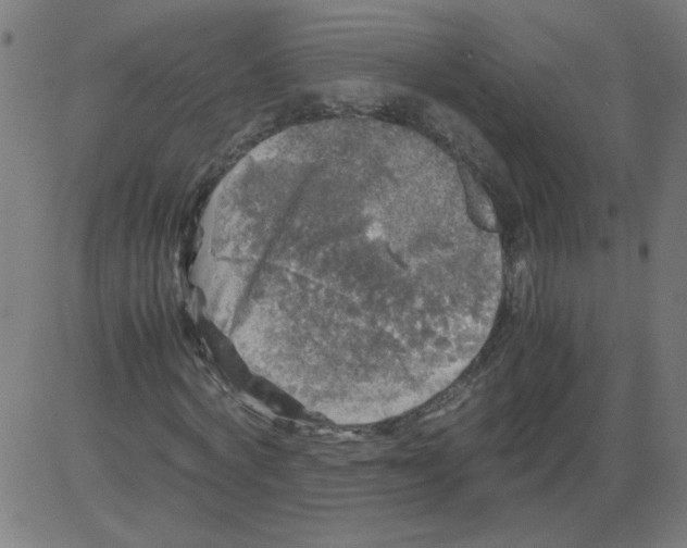 X0000081390772200702020254