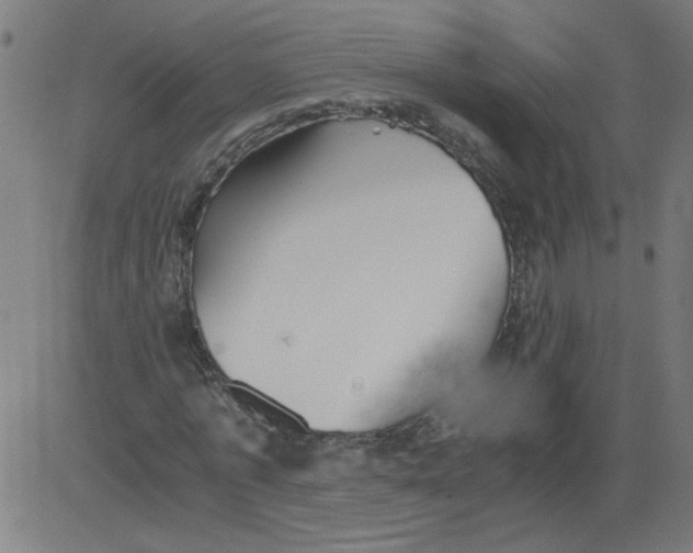 X0000081390773200702020254