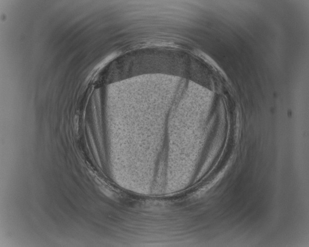 X0000081390777200702020254