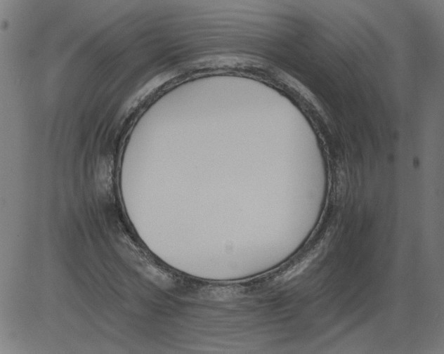 X0000081390778200702020254