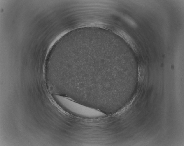 X0000081390780200702020254