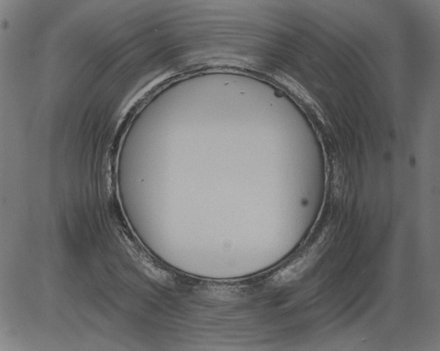 X0000081390782200702020254