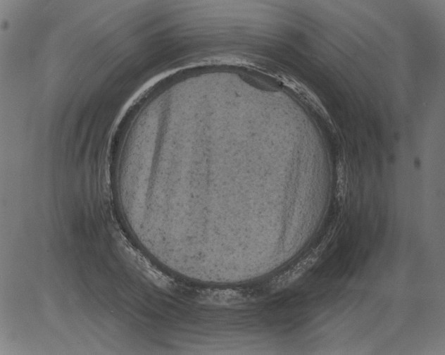 X0000081390784200702020254