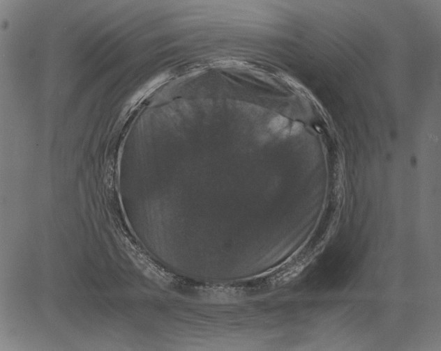 X0000081390785200702020254