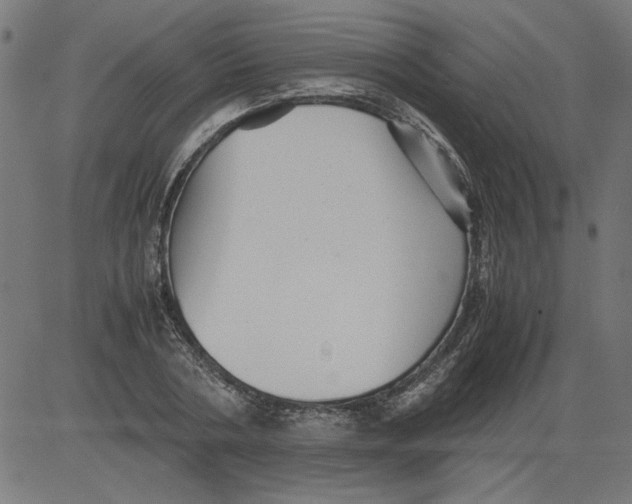 X0000081390786200702020254