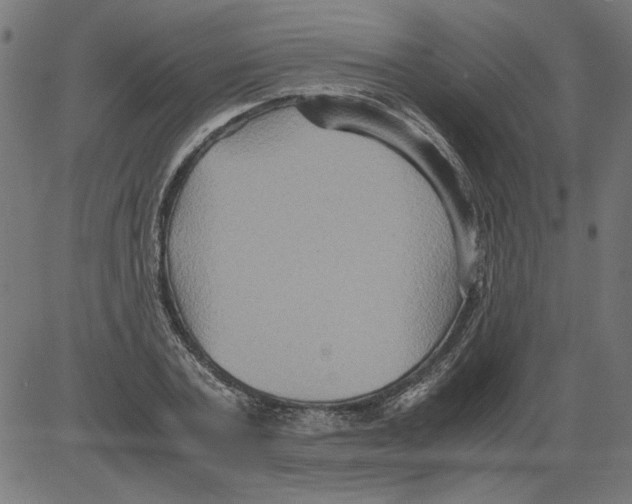 X0000081390787200702020254