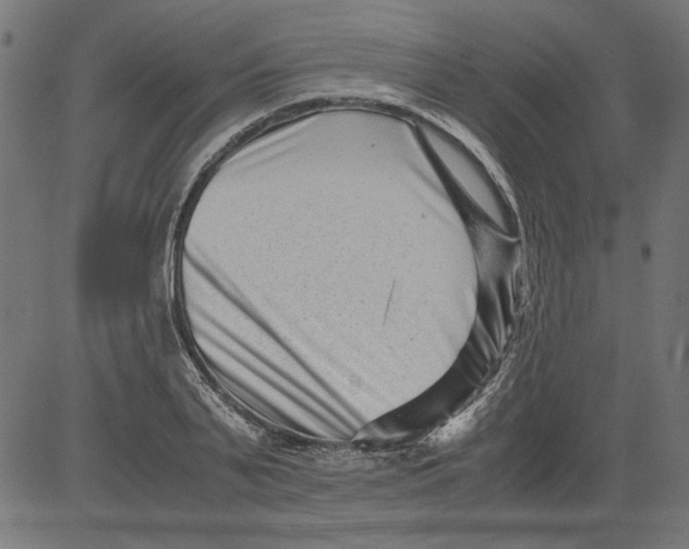 X0000081390791200702020254