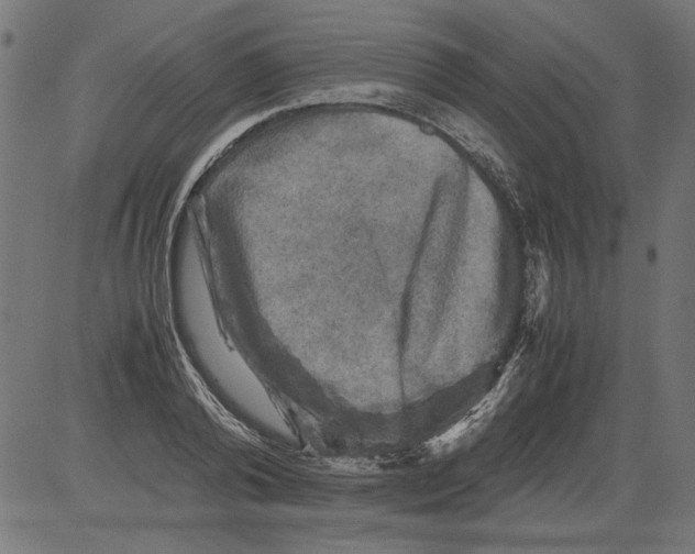 X0000081390792200702020254