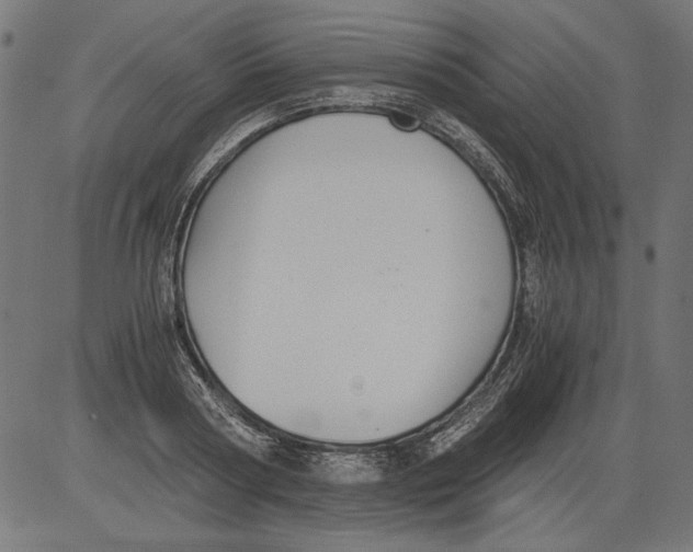 X0000081390794200702020254