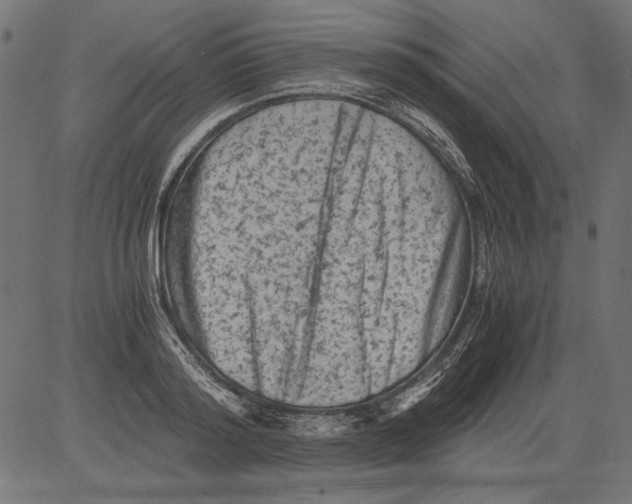 X0000081390796200702020254