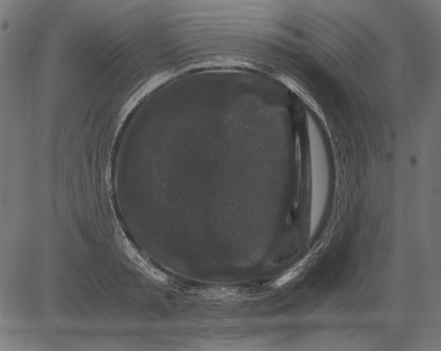 X0000081390797200702020254