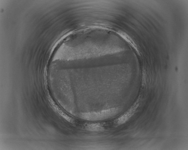 X0000081390798200702020254