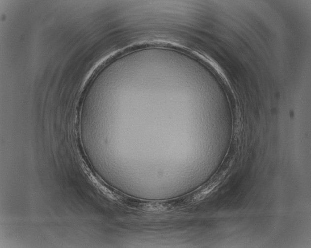 X0000081390799200702020254