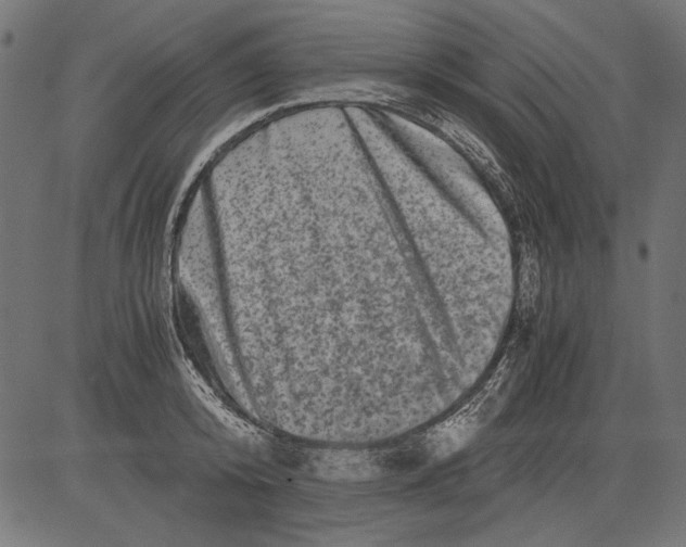 X0000081390800200702020254