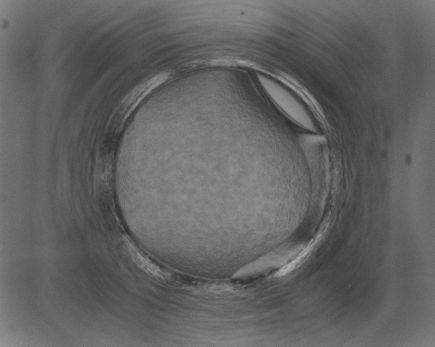 X0000081390801200702020254