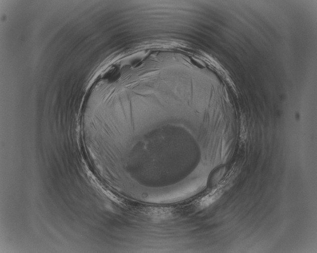 X0000081390802200702020254