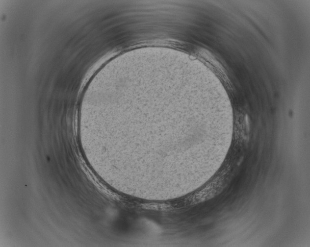 X0000081390804200702020254