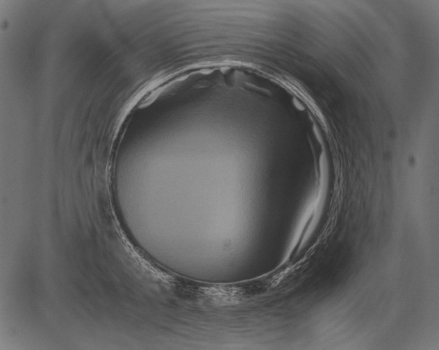 X0000081390805200702020254