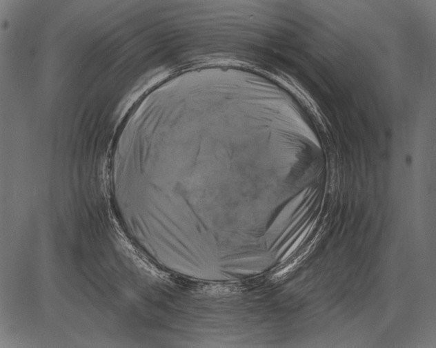 X0000081390806200702020254