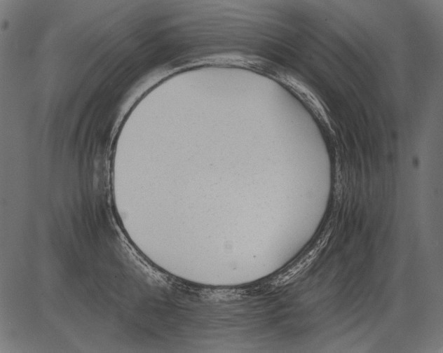 X0000081390808200702020254