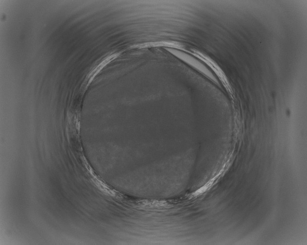 X0000081390809200702020254