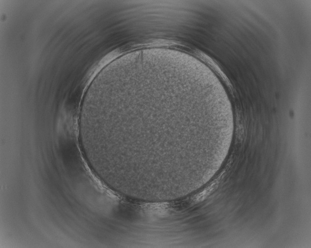 X0000081390810200702020254