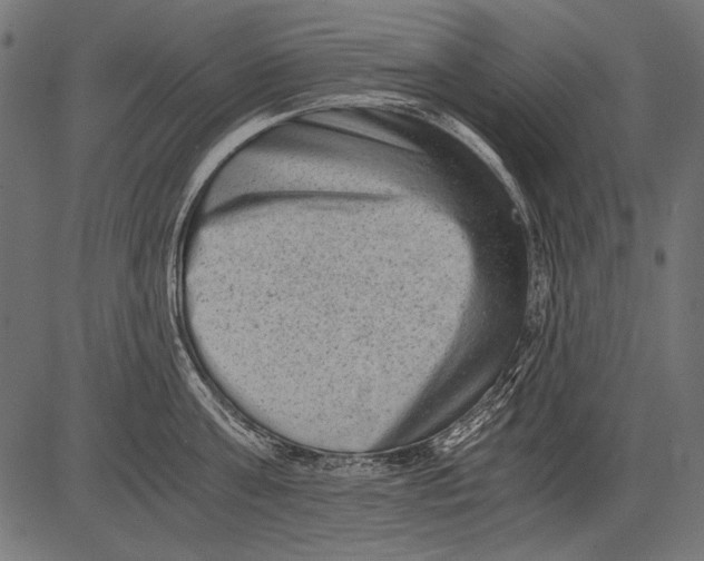 X0000081390811200702020254