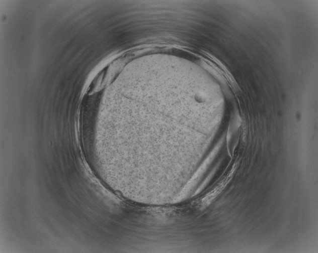 X0000081390812200702020254