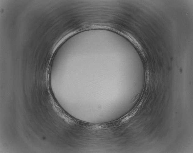 X0000081390814200702020254