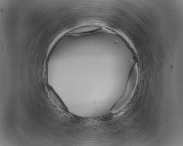 X0000081390815200702020254