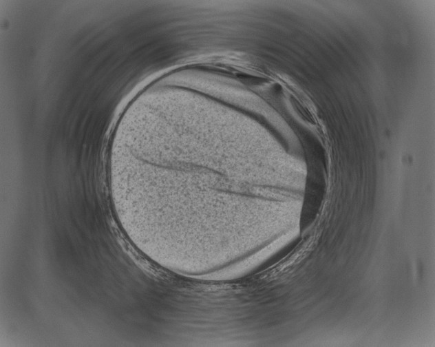 X0000081390816200702020254