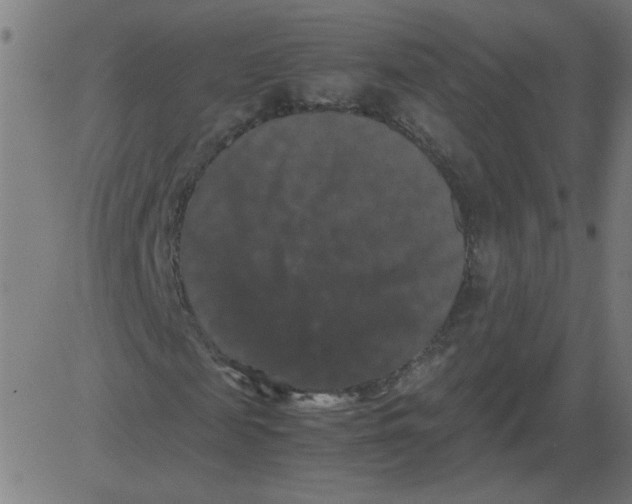 X0000081390817200702020253