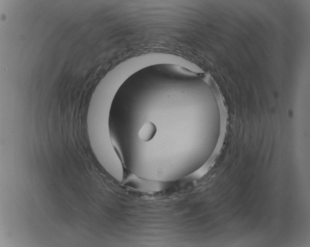 X0000081390818200702020253