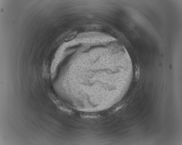 X0000081390819200702020253