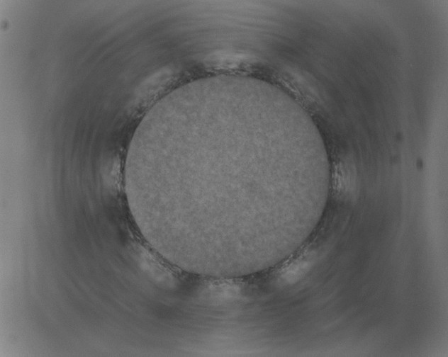 X0000081390820200702020253