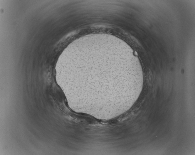 X0000081390821200702020253