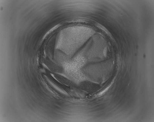 X0000081390826200702020253