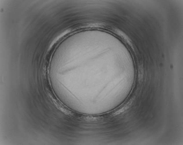 X0000081390827200702020253