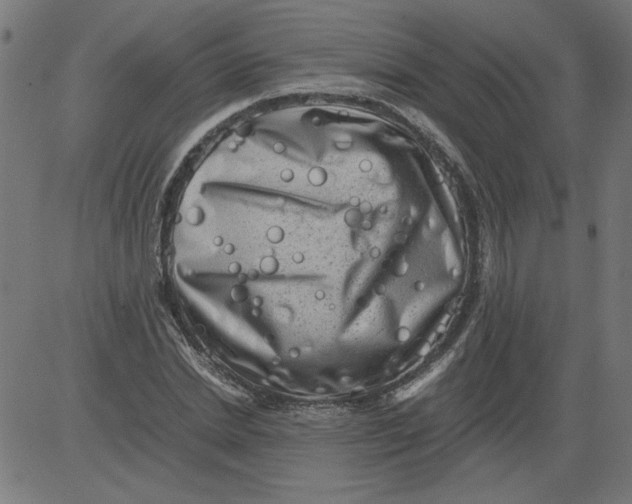 X0000081390830200702020253