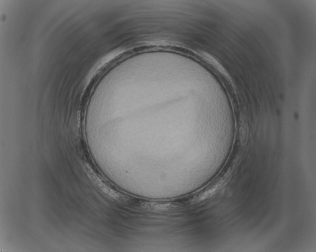 X0000081390831200702020253