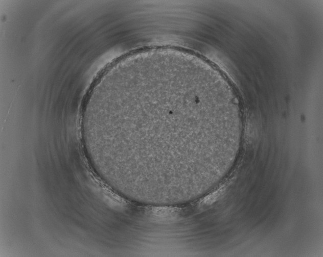 X0000081390832200702020253