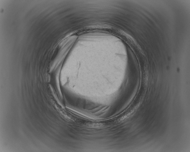 X0000081390833200702020253