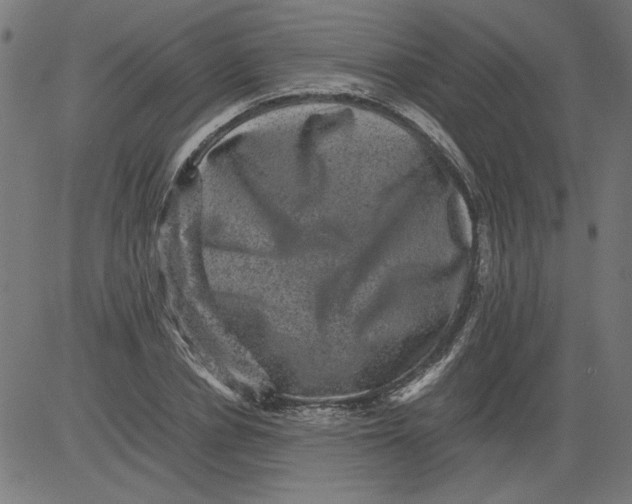 X0000081390834200702020253