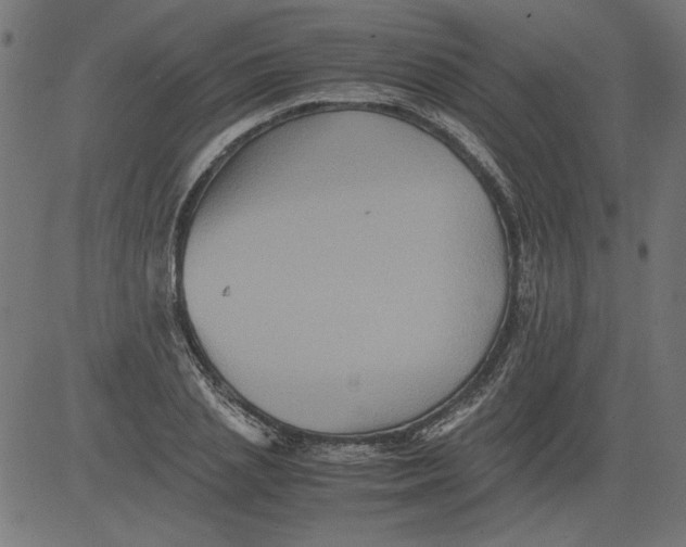 X0000081390837200702020253