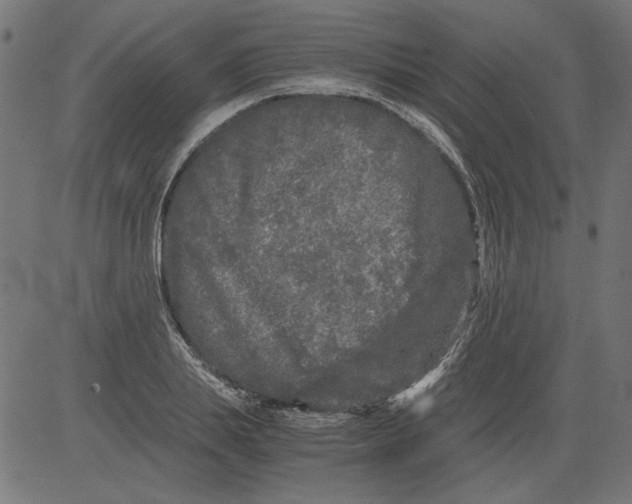 X0000081390839200702020253