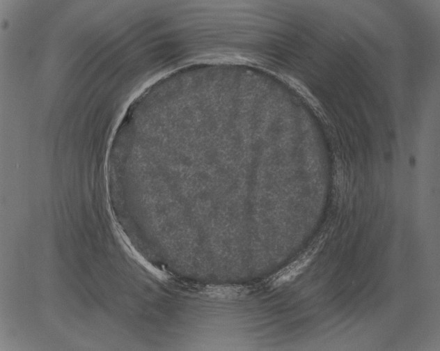 X0000081390840200702020253