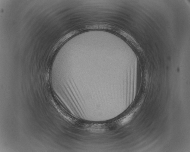 X0000081390841200702020253