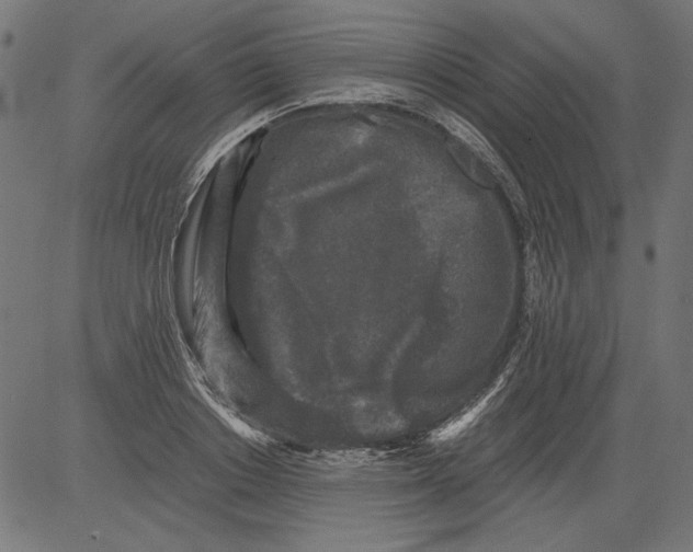 X0000081390842200702020253